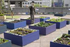 Rooftop garden at South Bank Centre, London ©nickos - Fotolia.com